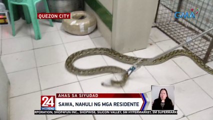 Sawa, nahuli ng mga residente | 24 Oras Weekend