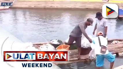 FishCoRe project, tulong sa 'poorest of the poor', ayon sa Palasyo