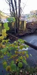 Guy Falls into Freezing Cold Water