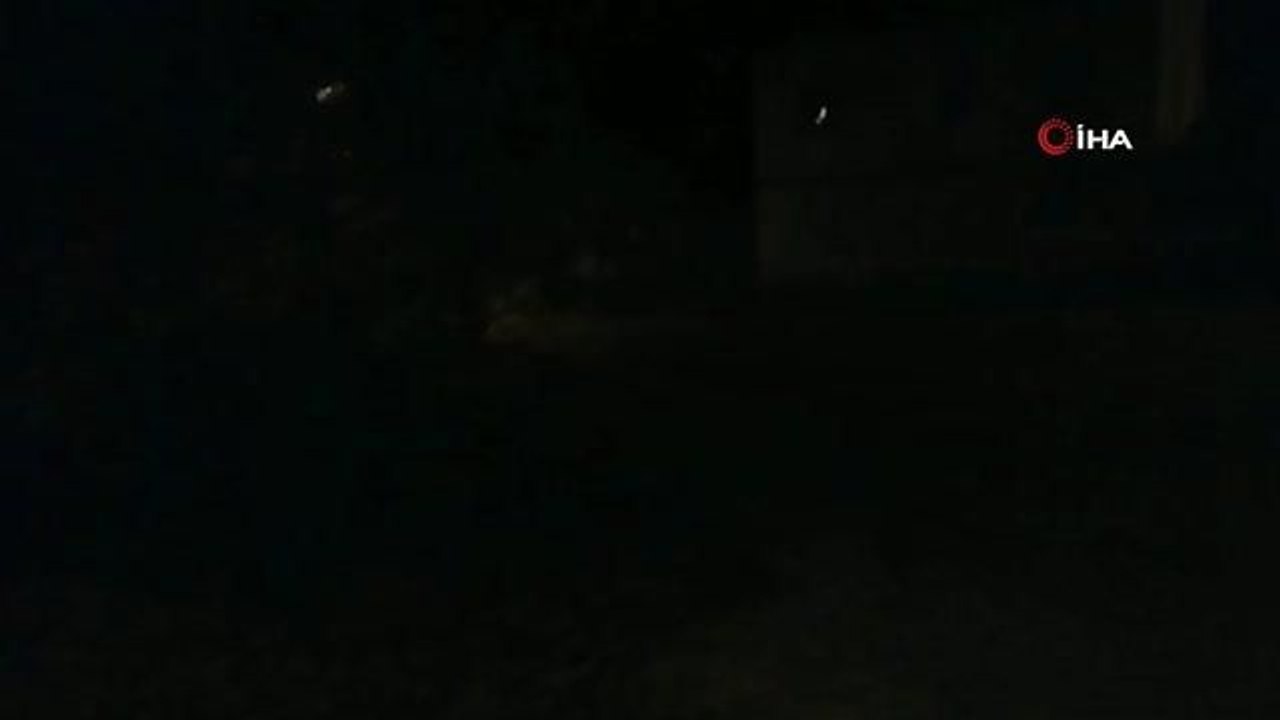 Anne köpek kuyuya düşen yavrularının başından bir an olsun ayrılmadı