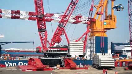 15 MOST Amazing Types of Cranes of this Century