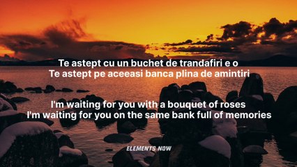 rareș x Olivia Addams - Buchet de trandafiri | (Romanian : English) Lyrics | Elements Now