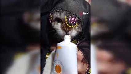 Yazma taktığı kediyi türküler eşliğinde böyle besledi