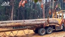 dangerous-fastest-chainsaw-tree-cutting-machines