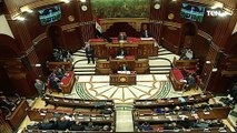 أول رد من رئيس مجلس الشيوخ على بيان البرلمان الأوروبي عن حقوق الإنسان في مصر