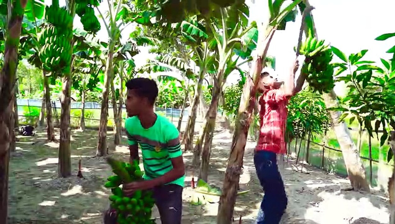 CAUTION-Try To Not Laugh AND Must Watch Crazy Video 2022 Top New Comedy  Episode 3 By funnyorfuck