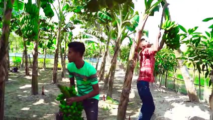 CAUTION-Try To Not Laugh AND Must Watch Crazy Video 2022 Top New Comedy  Episode 3 By funnyorfuck