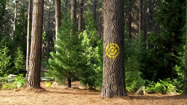 Yogi l'ours Bande-annonce (IT)