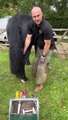 Trimming and Shoeing a Barrel Horse Using the Diamond Tracker by Kerckhaert