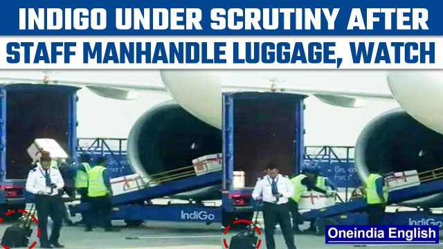 Viral Video: IndiGo staff manhandle luggage, airline responds | Oneindia News *News