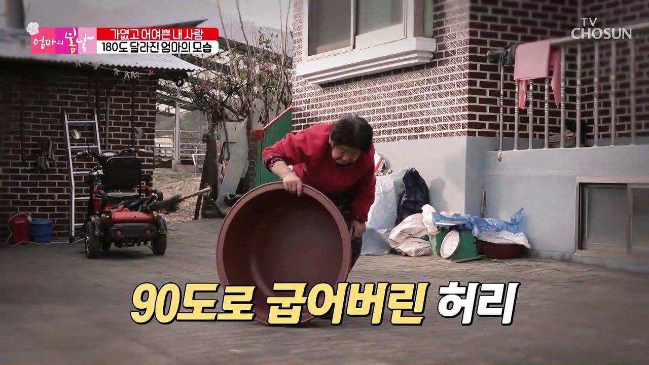 굽었던 허리를 반듯하게 피고 위풍당당하게 걷게 된 엄마 TV CHOSUN 202212...
