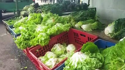 Tải video: Feira do Pequeno Produtor movimenta manhã de sábado (03) em Cascavel