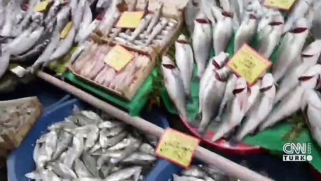 Balık tezgahlarında palamutun yerini çinekop ve hamsi aldı