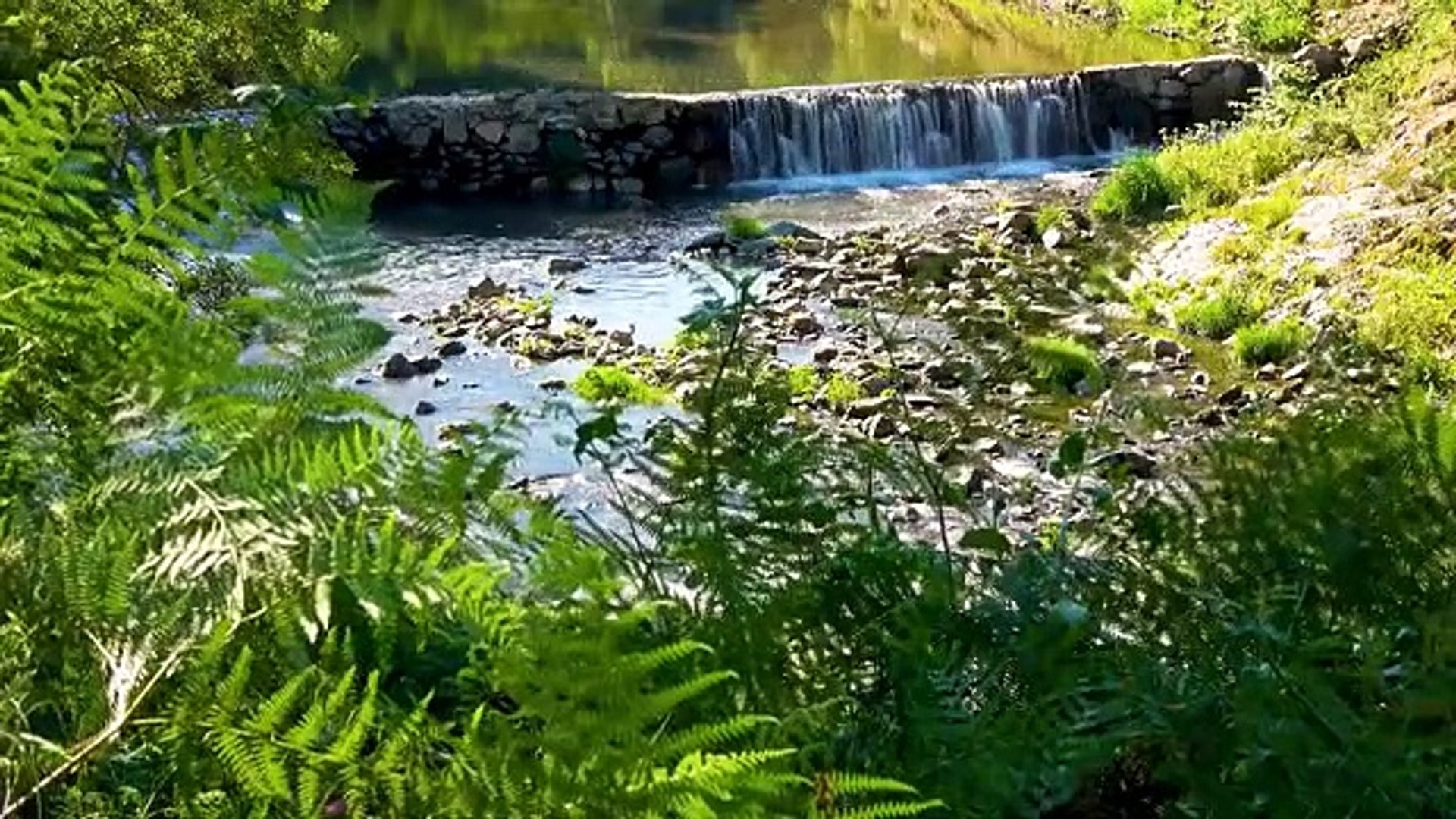 ⁣WATERFALL FOOTAGE HD VIDEOS - NATURE RELAXING VIDEOS