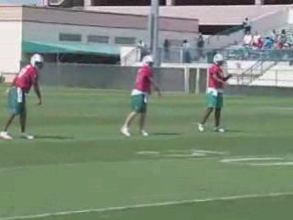 070506 practice dolphins