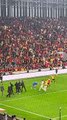 Taraftar sahaya inip bayrak direğiyle futbolcuya saldırdı