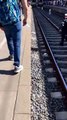 Police Rescue Little Ducks from Train Tracks in Germany