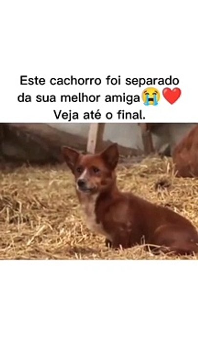 #entertainment