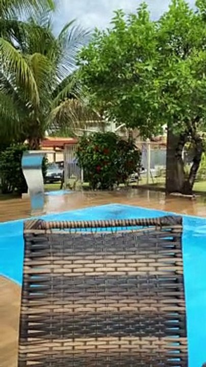 French Bulldog Zoomies Right Into Pool