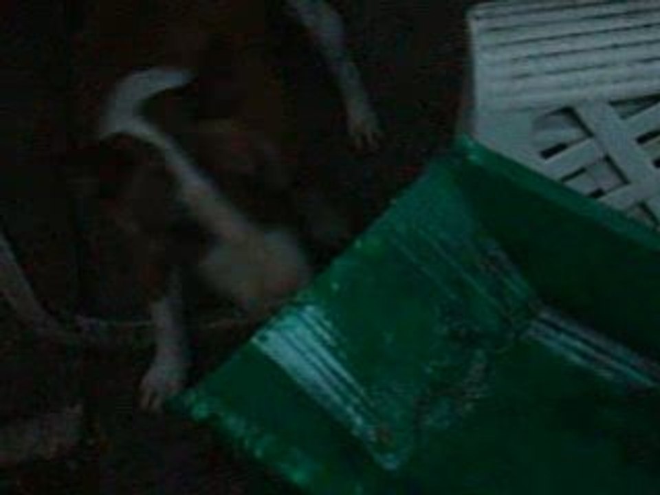 BUFFY ET L'EAU DE PLUIE 2