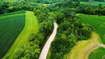 Drone view Through Plantation And Forest