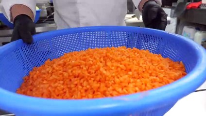 egg fried rice - korean street food