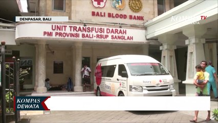 PMI Bali Pastikan Stok Kantong Darah Aman
