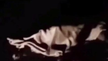 सिंगरौली:बेलगाम हाईवा ने युवक को मारी टक्कर,घटनास्थल पर हुई मौत,परिवार ने मांगा न्याय