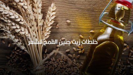 خلطات زيت القمح شعر