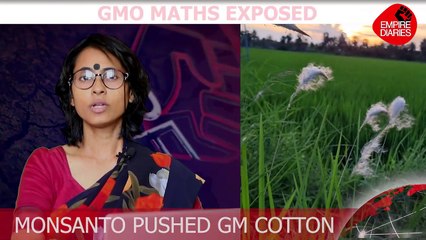 GM MUSTARD IN INDIA: A LESSON FROM BT COTTON
