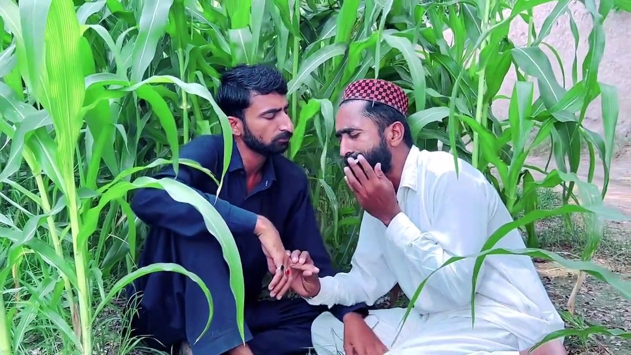 جیو جٹ صاحب