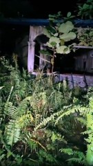 Paranormal activity ghost on camera part 6