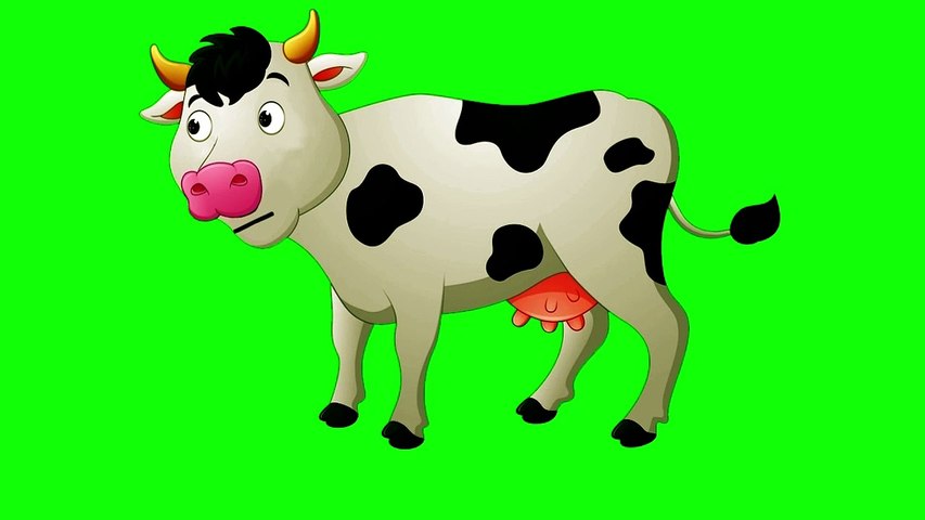 Copyright Free Cow Green Screen Effect | Chroma Key | Royalty Free | Cow  Walking Cow Talking Caw Green Screen Video Cartoon - video Dailymotion