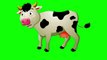 Copyright Free Cow Green Screen Effect | Chroma Key | Royalty Free | Cow Walking Cow Talking Caw Green Screen Video Cartoon