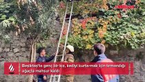 Beşiktaş’ta ilginç olay! Genç kız ağaçta gören yardıma koştu