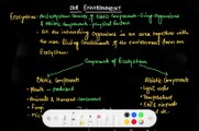 What is Ecosystem class 10 science|High school science class|High school biology