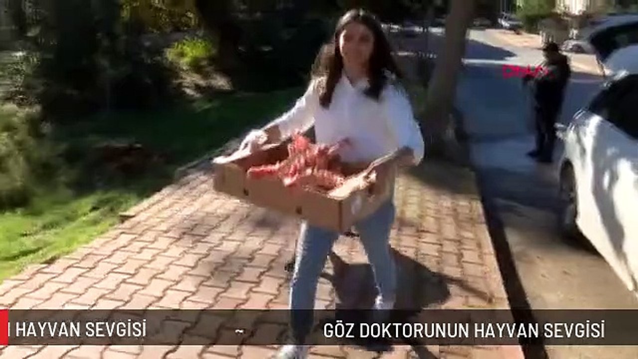 GÖZ DOKTORUNUN HAYVAN SEVGİSİ