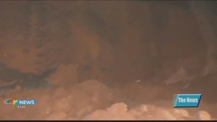 Mueren 14 personas tras un deslizamiento de tierra en Camerún