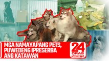 Mga namayapang pets, puwedeng ipreserba ang katawan | 24 Oras Shorts