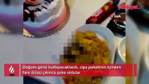 Cips paketinin içinden fare ölüsü çıkınca şoke oldular