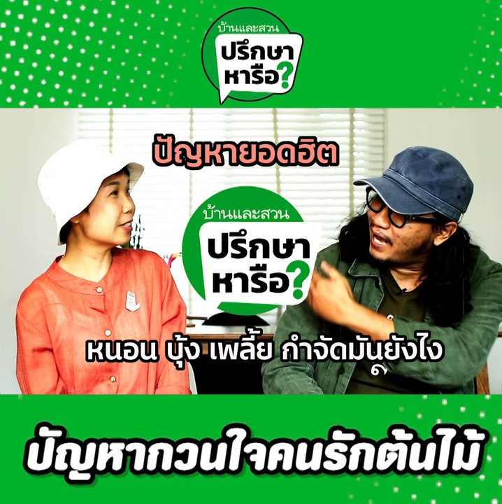 บ้านและสวนปรึกษาหารือ วิธีกำจัด หนอน บุ้ง เพลี้ย