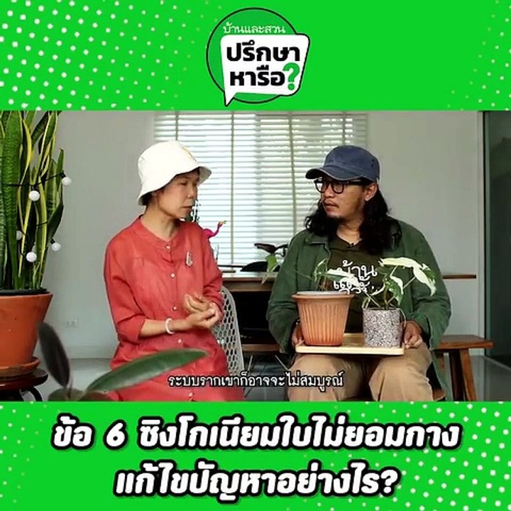 บ้านและสวนปรึกษาหารือ ปัญหาต้นไม้ ตอน 2