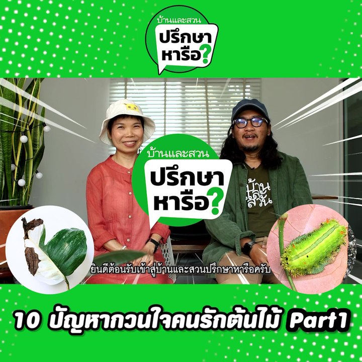 บ้านและสวนปรึกษาหารือ 10 ปัญหาต้นไม้ ตอนที่ 1