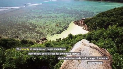 SpaceX launches tomato seeds other supplies to International Space