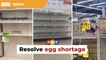 Mydin boss sounds alarm over egg shortage
