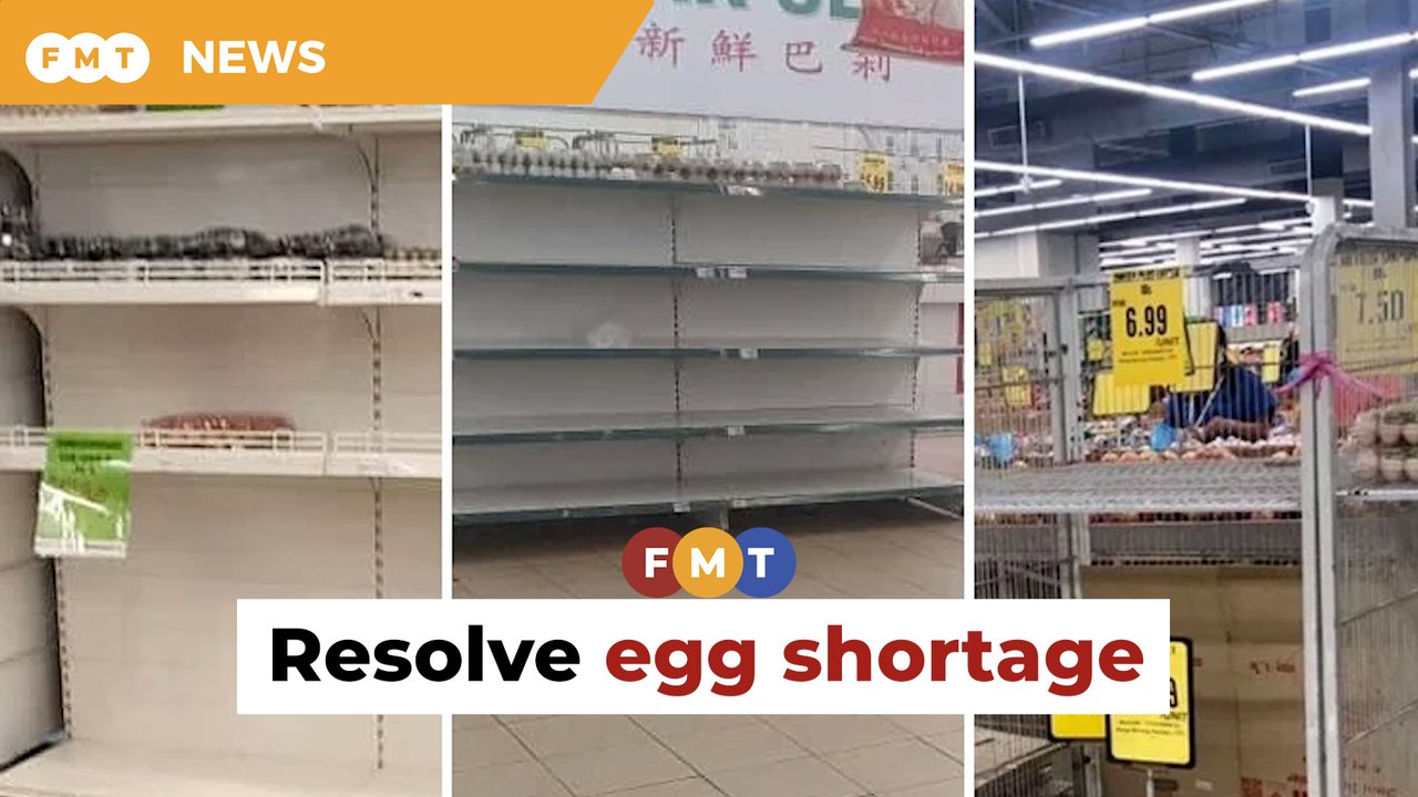Mydin boss sounds alarm over egg shortage