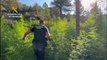 La Guardia Civil incauta 44 toneladas de marihuana en zonas inaccesibles del Pirineo Aragonés