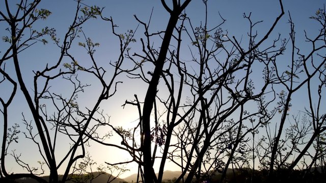 Der Dezember wird kalt in Deutschland