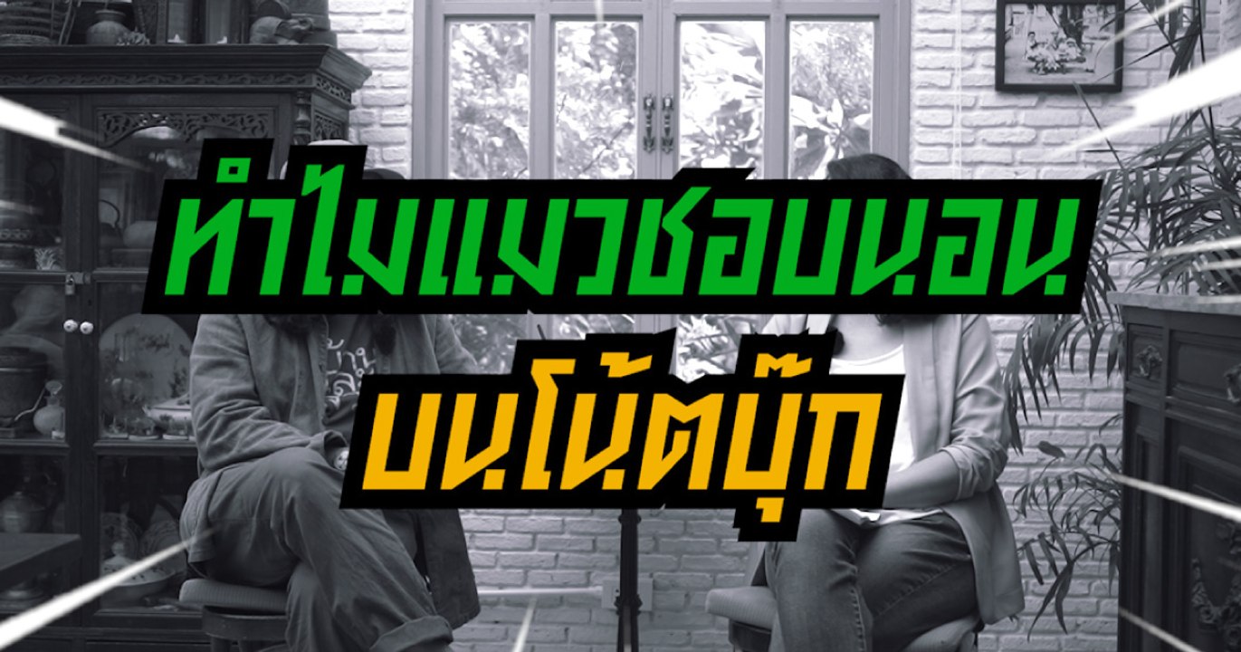 บ้านและสวนปรึกษาหารือ ทำไมแมวชอบนอนบนโน้ตบุ๊ก