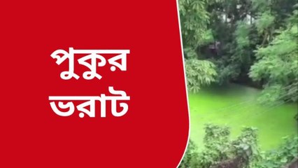 হুগলিঃ সিপিএম নেতার দাদাগিরি! অবৈধভাবে পুকুর ভরাটের অভিযোগ